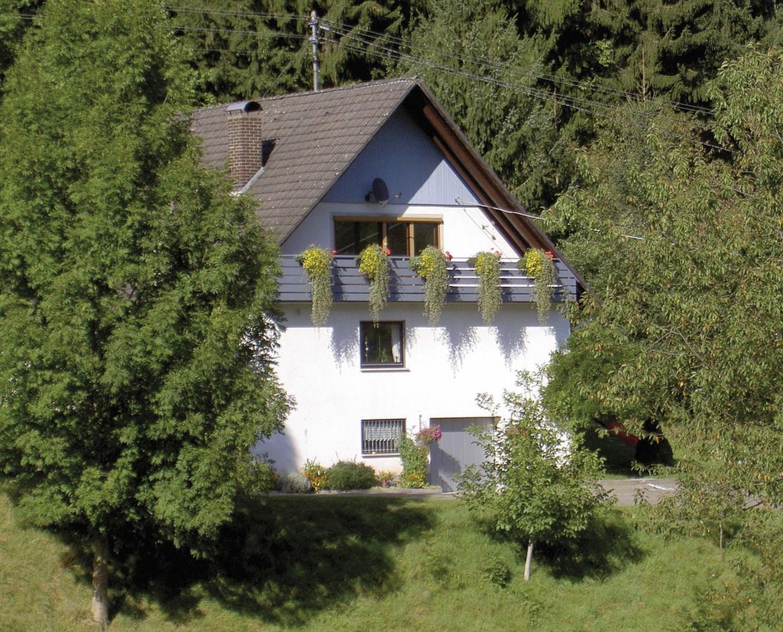 Haus Wolter Appartement Gengenbach Buitenkant foto